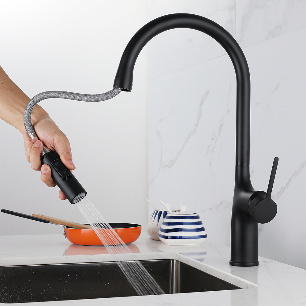 Modern Flexible Hose Silver Kitchen Sink Mixer Faucet